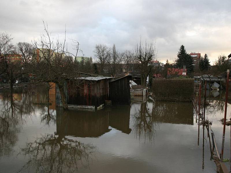 V mnohých zahradách podél řeky zůstaly vodní laguny. Středa 19. ledna. 