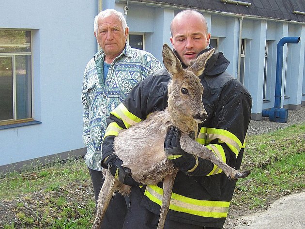 Žďárští myslivci vyzkouší nový způsob ochrany mláďat zvěře