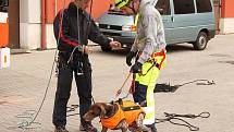 Záchranáři se psy přímo v žatecké požární stanici skládali zkoušky ze sutinového vyhledávání osob