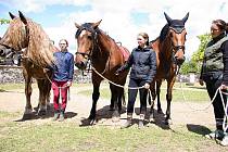 V zahradě zámku v Krásném Dvoře proběhla v sobotu slavnost pro děti s názvem Májový den se zámeckými koňmi.