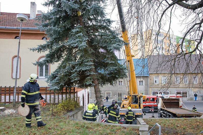 O pokácení a vztyčení vánočního stromu v Podbořanech se postarali tamní hasiči.