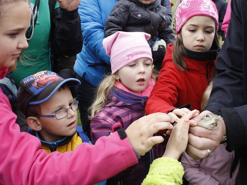 Ochránci přírody ukázali živého sysla, kteří na svazích vrchu Raná žijí