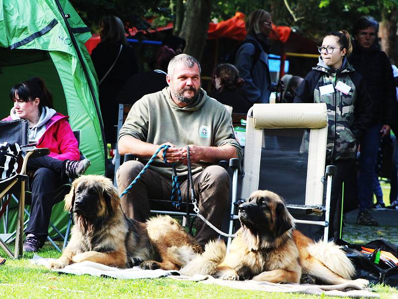 Krajská výstava psů v Lounech. Rok 2022.