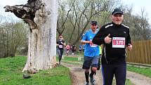 Šestý ročník Žateckého půlmaratonu a desítky. Trasa opět zavedla běžce do přírody podél Ohře.