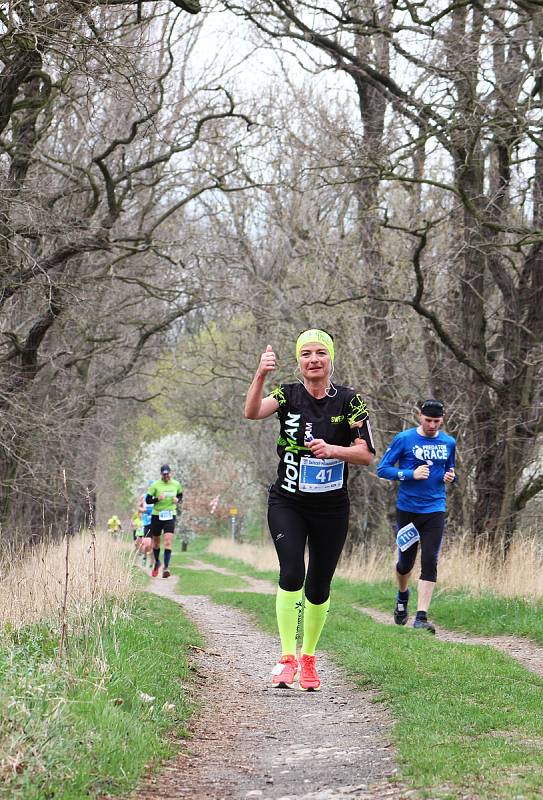 Šestý ročník Žateckého půlmaratonu a desítky. Trasa opět zavedla běžce do přírody podél Ohře.