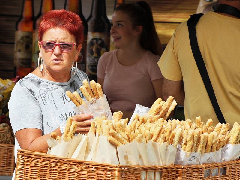 Žatecká Dočesná 2016