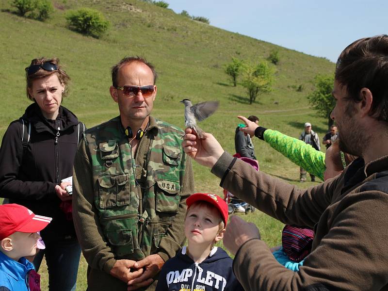 O prezentaci ornitologů je obvykle velký zájem