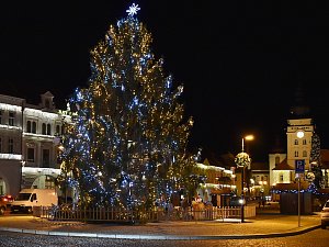 Vánoční strom na náměstí Svobody v Žatci
