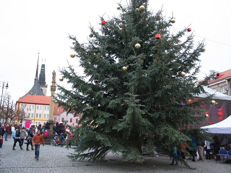 Vánoční strom na lounském Mírovém náměstí