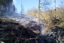 Požár lesního porostu u obce Konětopy.