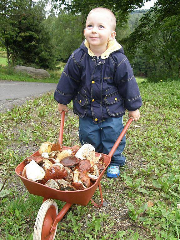 Jmenuji se Pavlík Bejček, bydlím v Žatci a tyhle houby jsem našel s babičkou a strejdou na chalupě v Krušných horách.