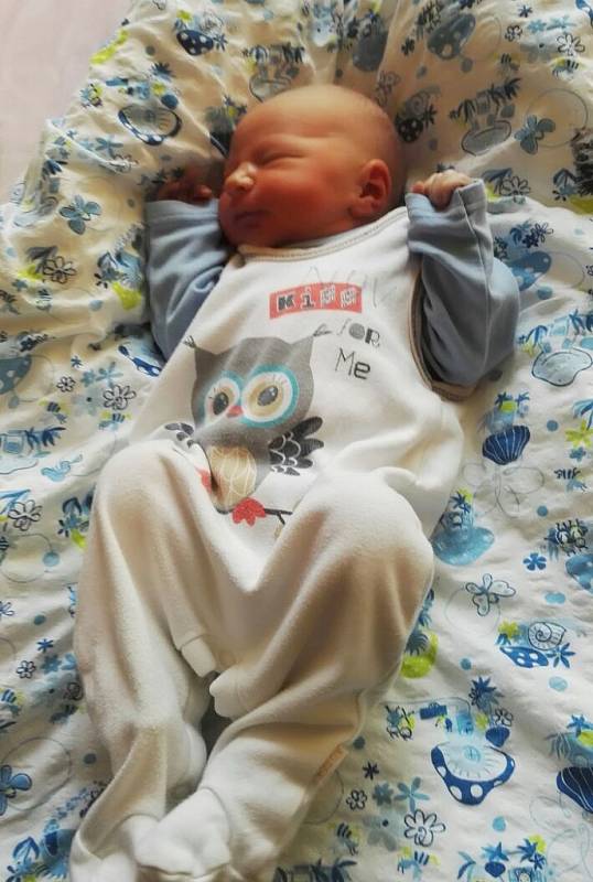 Jakub Laibl se narodil 21. listopadu 2017 rodičům Haně a Janu Laiblovým ze Staňkovic. Vážil 3610 g a měřil 54 cm.