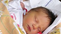 Mamince Šárce Baszové ze Žatce se 20. června 2014 ve 13.22 hodin narodila dcerka Marie Baszová. Vážila 3345 gramů a měřila rovných 50 centimetrů.