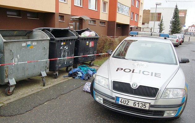 V těchto kontejnerech v podbořanské ulici Kpt. Nálepky našli lidé mrtvé tělo novorozence