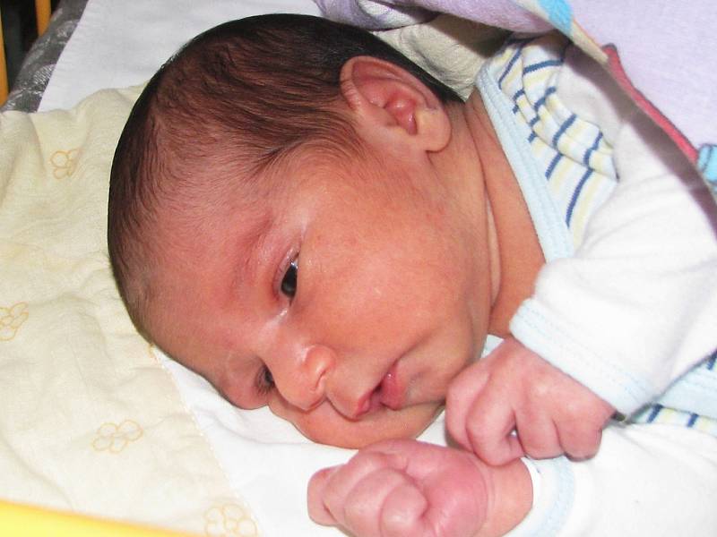Adam Holub se narodil 6. ledna 2018 v 1.25 hodin mamince Evě Holubové z Cítolib. Vážil rovné 3 kg a měřil 48 cm.
