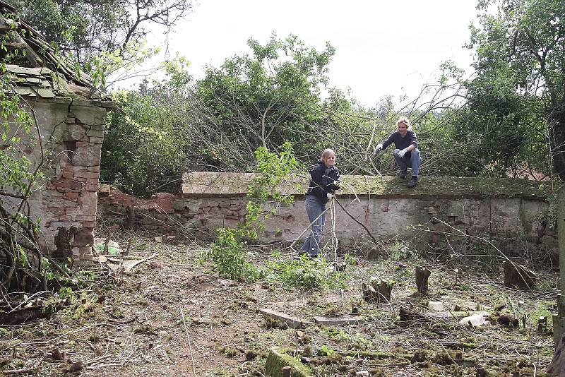 Dobrovolníci odstraňují náletové dřeviny z hřbitova u kostela v Přibenicích.