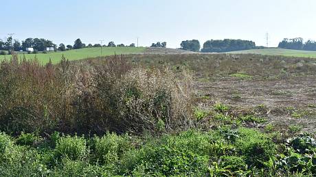Část pole, kudy povede dálnice D7 u Chlumčan, zůstala po celý loňský rok neobdělaná. Výstavba ale začne až letos.