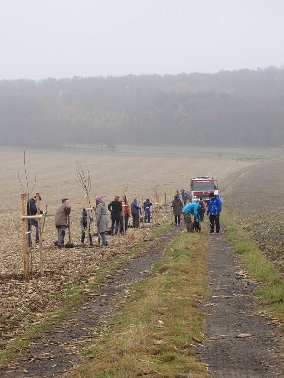 Ve Slavětíně pokračovalo sázení ovocných stromů.