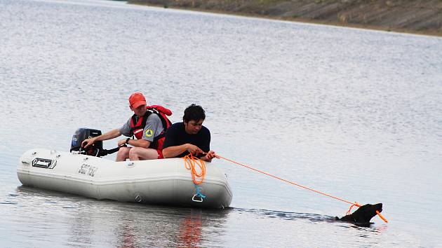 Čtyřnozí záchranáři umí i ve vodě. Na Nechranické přehradě se konaly závody záchranářů kynologů, jejich svěřenci umí přitáhnout na břeh člun, unaveného surfaře, na břeh dostanou i topícího se plavce.
