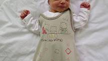Stella Streicherová se narodila v kadaňské porodnici 20. února 2017 ve 3.38 hodin rodičům Gabriele a Marku Streicherovým z Panenského Týnce. Měřila 47 cm a vážila 2,35 kg.