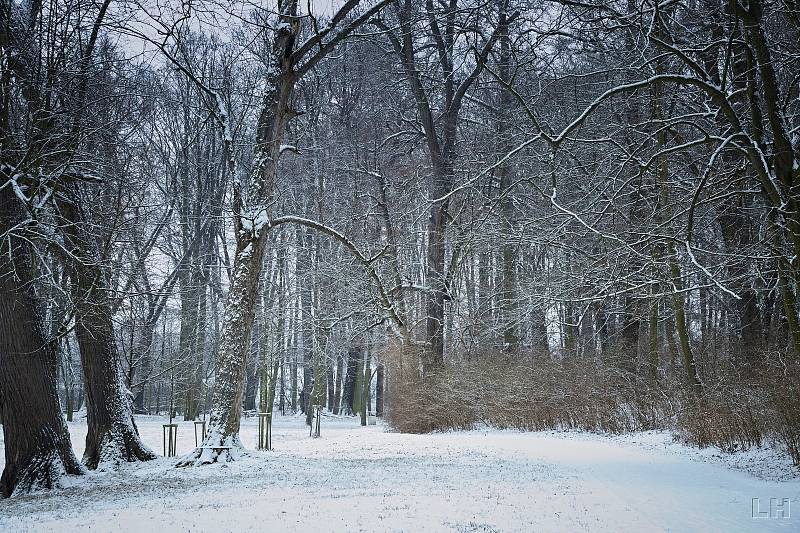 Zasněžený a zamrzlý zámecký park v Krásném Dvoře na Podbořansku.