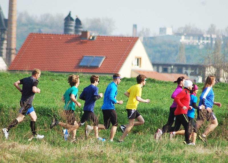 Žatecký půlmaraton 2013