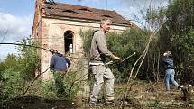 Dobrovolníci odstraňují náletové dřeviny z hřbitova u kostela v Přibenicích.