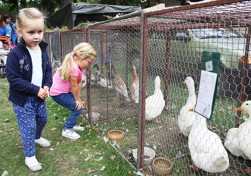 Výstava Člověk v přírodě v Lounech