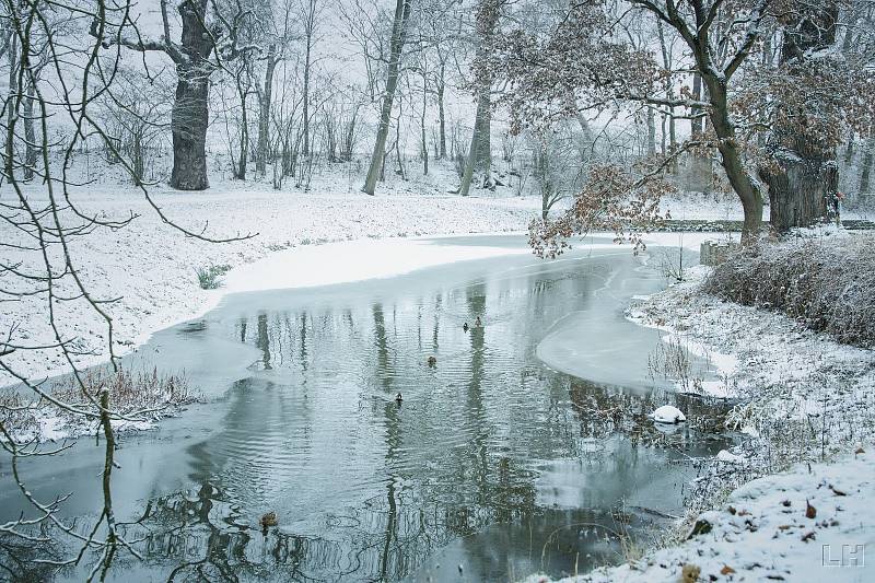 Zasněžený a zamrzlý zámecký park v Krásném Dvoře na Podbořansku.