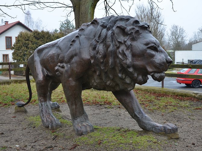 Lev, který v Žatci stál jako součást pomníku obětem první světové války. Nyní byl po sedmdesáti letech objeven ve Starých Splavech. 