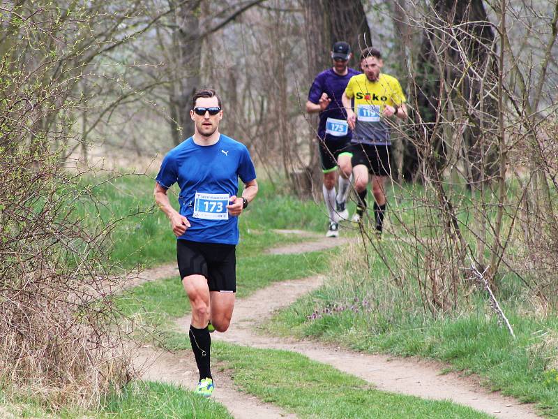 Šestý ročník Žateckého půlmaratonu a desítky. Trasa opět zavedla běžce do přírody podél Ohře.