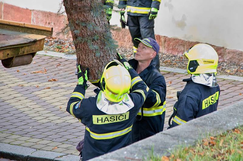 O pokácení a vztyčení vánočního stromu v Podbořanech se postarali tamní hasiči.