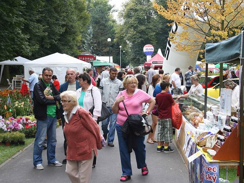 Výstava Dům 2014 v Lounech