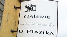 Galerie u Plazíka v Peruci