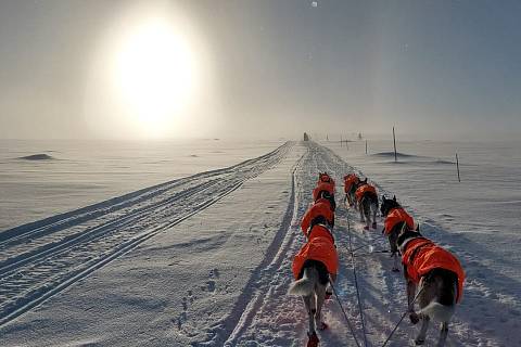 Roman Habásko se svým psím spřežením opanoval prestižní severský závod Polardistance.