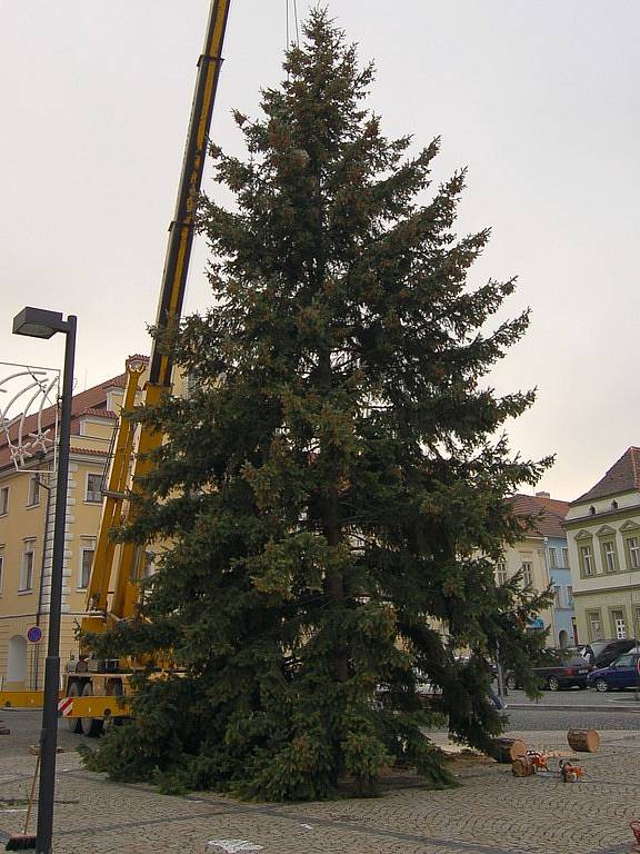 Stavění vánočního stromu v Žatci.