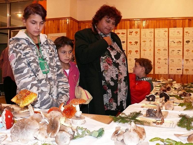 Návštěvníci si prohlížejí v kulturním středisku v Kryrech vystavené houby.