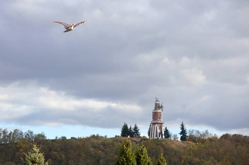 Volnočasové centrum Bertík ve spolupráci s městem připravilo na sobotu v Kryrech drakiádu.