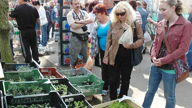 Výstava Dům a zahrada v Lounech