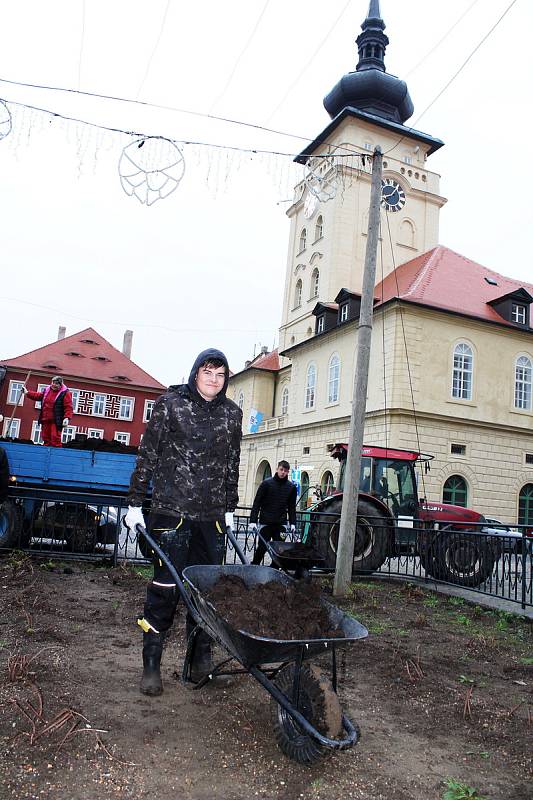 Lepší podmínky k růstu bude mít chmel na nejmenší chmelničce na světě, která je na žateckém náměstí. Pracovníci Chmelařského institutu, který se o ni stará, totiž chmelničku pohnojili.