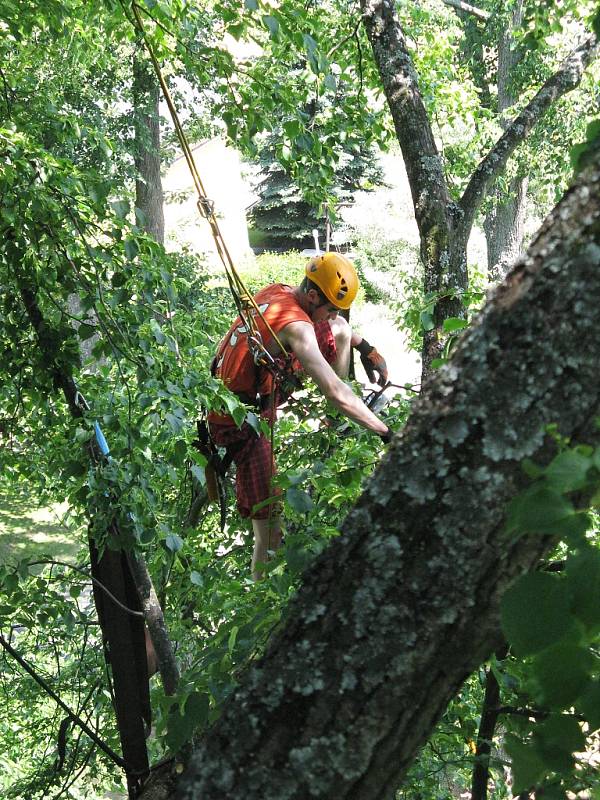 Doslova ekvilibristická čísla častokrát předvádějí lezci zkušení arboristé při ošetřování stromů. 