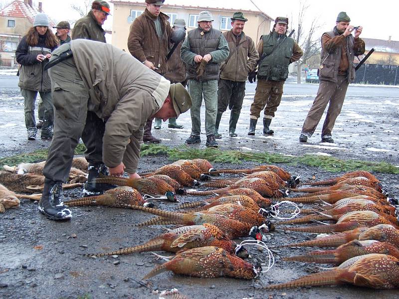 Na honu v Buškovicích na Podbořansku