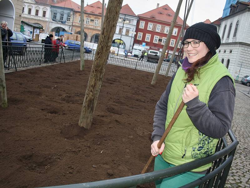 Lucie Štefanová s hráběmi upravuje hlínu ve chmelničce po včerejší výsadbě sazenic chmele. 