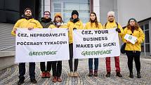 Protestující Greenpeace.