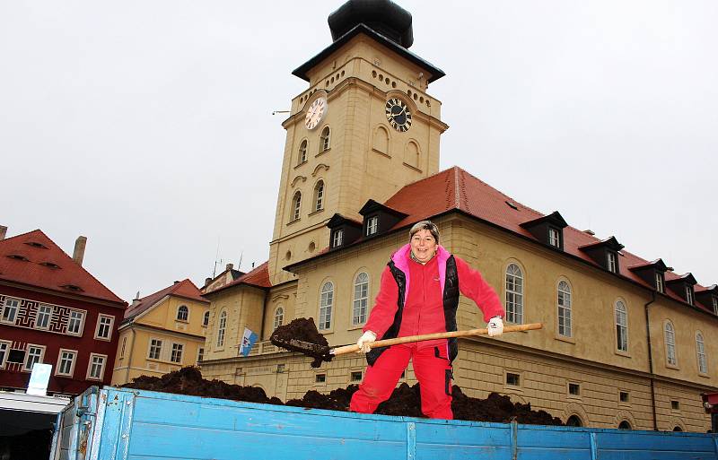 Lepší podmínky k růstu bude mít chmel na nejmenší chmelničce na světě, která je na žateckém náměstí. Pracovníci Chmelařského institutu, který se o ni stará, totiž chmelničku pohnojili.