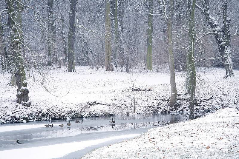 Zasněžený a zamrzlý zámecký park v Krásném Dvoře na Podbořansku.