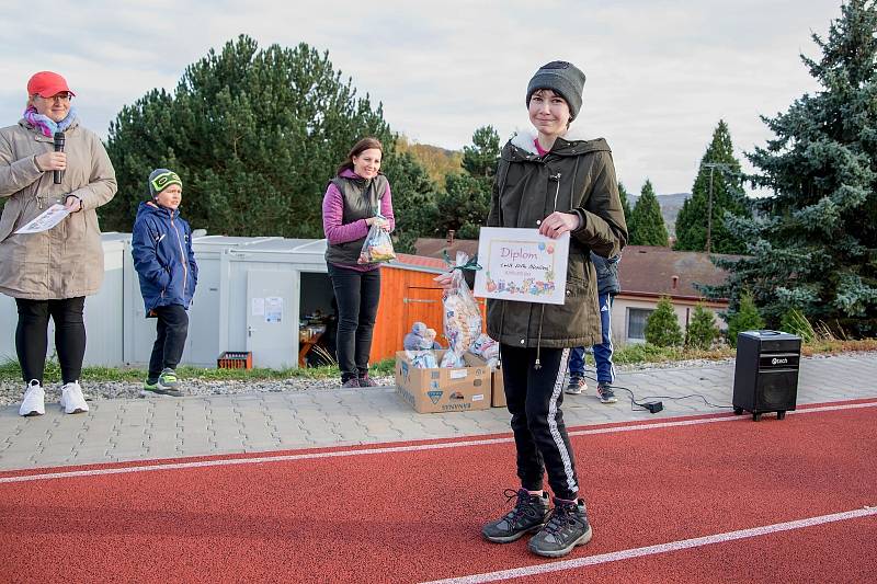 Volnočasové centrum Bertík ve spolupráci s městem připravilo na sobotu v Kryrech drakiádu.