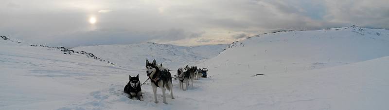 Snímek z extrémního závodu Finnmarkslopet, jak ho viděl Roman Habásko