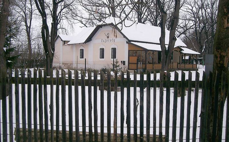 V neděli 24. 2. jsme si byli zaběžkařit za městem. Pěkně to klouzalo a zasněžené výhledy na Louny byly i přes zamračenou oblohu kouzelné.