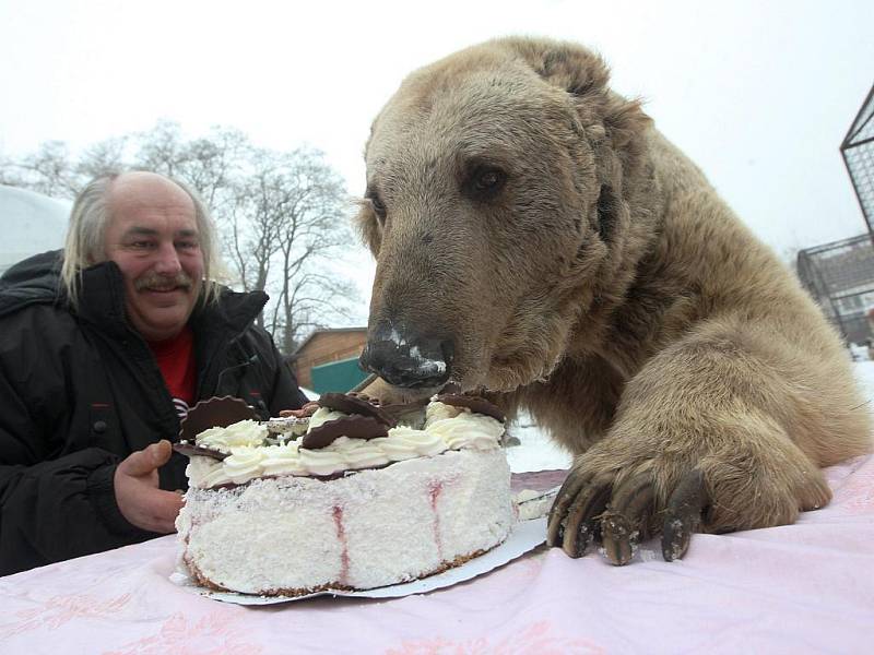 Jerry si pochutnává na dortu. Vlevo je chovatel Jaroslav Káňa